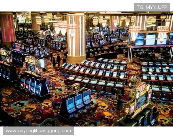 澳门哪家赌场好提供最丰富游戏选择和优质服务的顶级娱乐场所