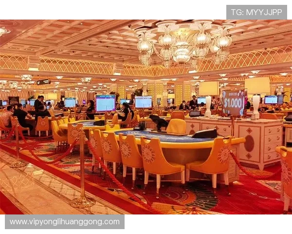 澳门永利皇宫赌场的博彩游戏种类与玩法介绍，满足不同玩家需求